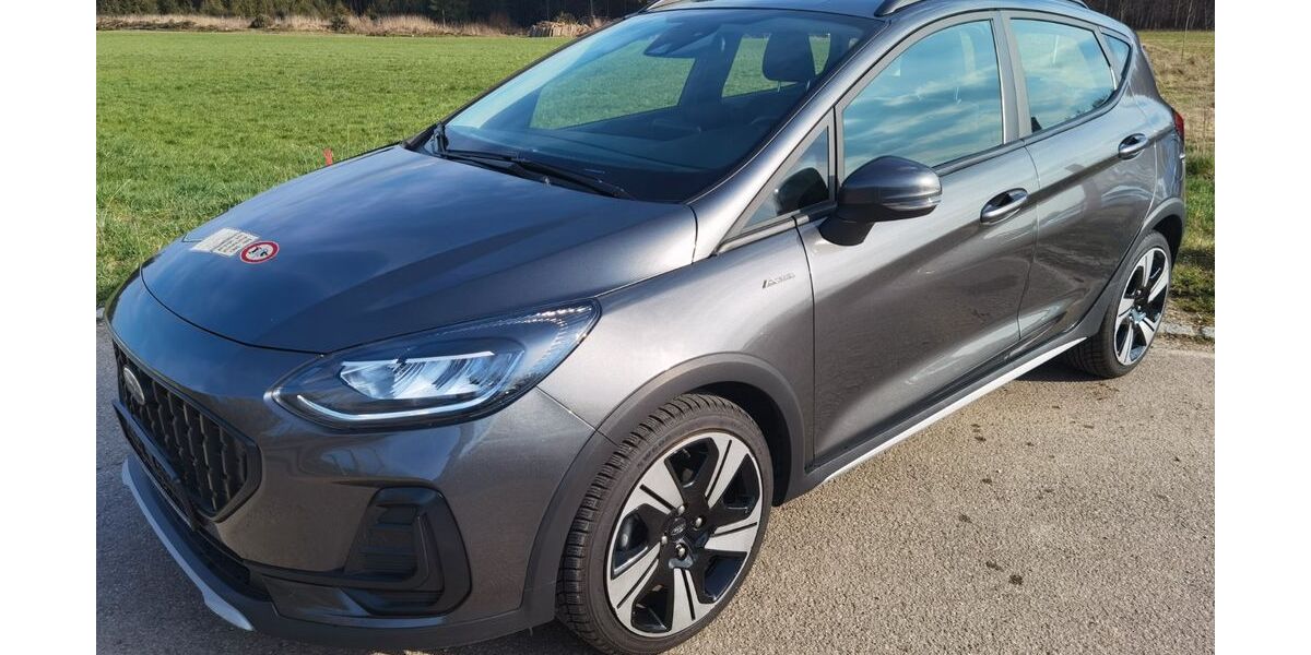 Ford Fiesta 44.862 km 16.980 &euro; Welden 86465