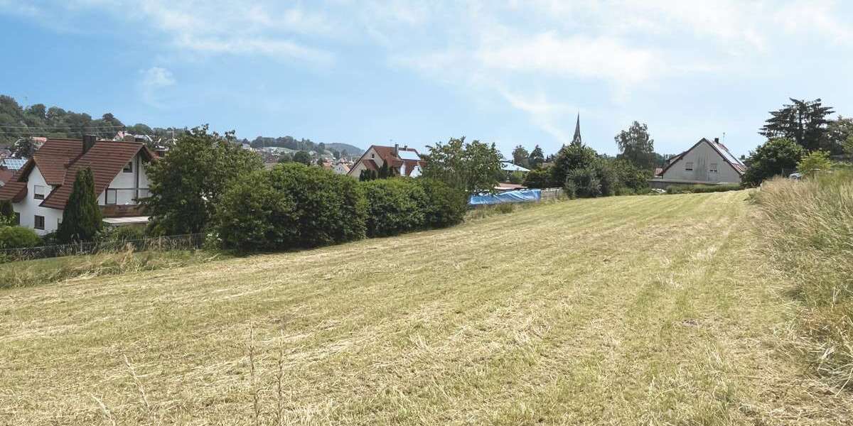 Grundstück Aindling - 755.000&euro; | Angebot:17993720