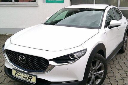 Mazda CX-30 53.416 km 21.380 &euro; Hollenbach b. Aichach 86568