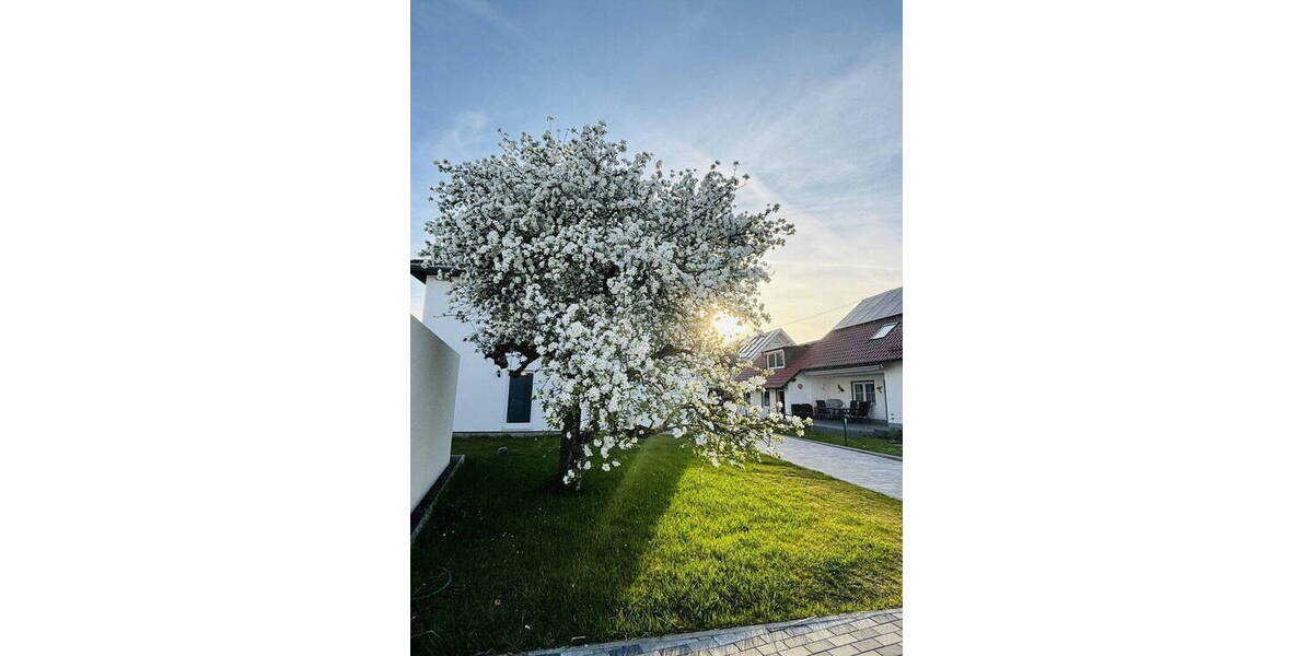 Doppelhaushälfte Langerringen Westerringen - 4 Zimmer, 121 m&sup2;, 1.500&euro; | Angebot:26064713