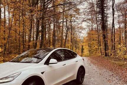 Tesla Model Y 49.750 km 42.000 &euro; Aystetten 86482