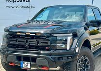 Gebrauchtwagen Ford F 150