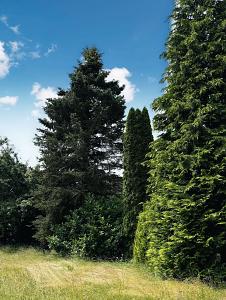 PERFEKT FÜR IHR DOPPELHAUS - Grundstück Augsburg Bergheim | Angebot:24791501