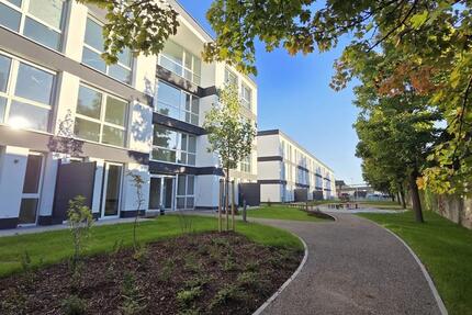 Wohnung Augsburg Bärenkeller - 1 Zimmer, 34 m&sup2;, 740&euro; | Angebot:24773557