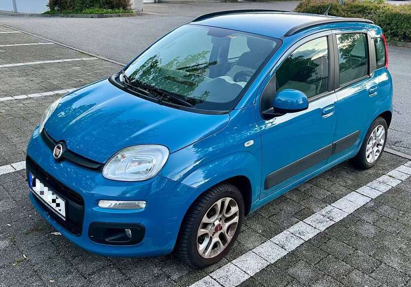 Panda