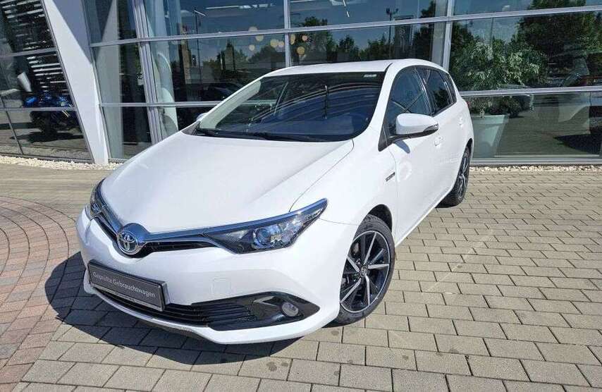Auris