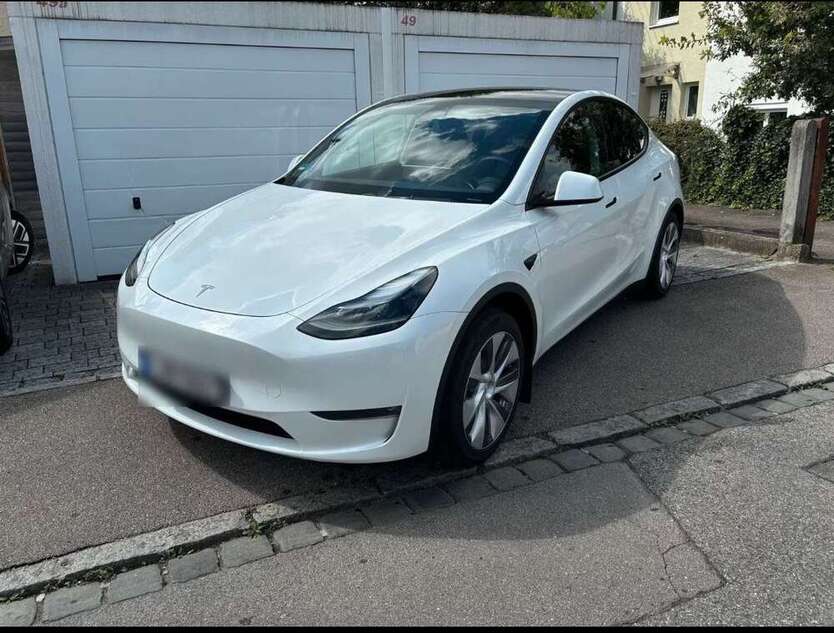 Model Y