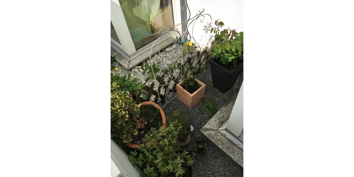 Erdgeschoßwohnung Augsburg Oberhausen - 2 Zimmer, 66 m&sup2;, 260.000&euro; | Angebot:25207542