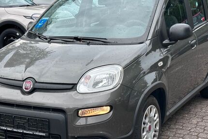 Fiat Panda 9.800 km 12.990 € Gersthofen/Batzenhofen 86368