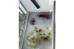 Etagenwohnung Augsburg Bärenkeller - 1 Zimmer, 35 m&sup2;, 690&euro; | Angebot:26699683