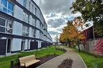 Etagenwohnung Augsburg Lechhausen - 1 Zimmer, 32 m&sup2;, 762&euro; | Angebot:26459683