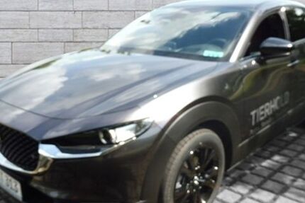 Mazda CX-30 6.789 km 27.990 € Augsburg 86179