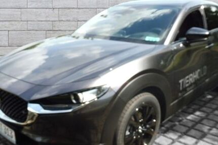 Mazda CX-30 8.645 km 27.990 &euro; Augsburg 86179
