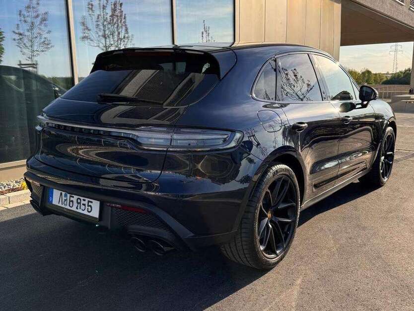Macan