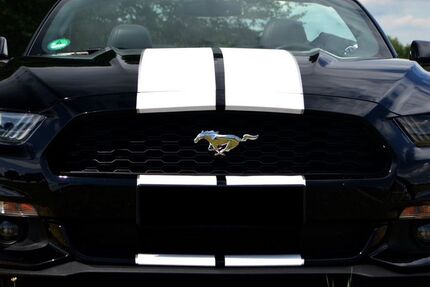 Ford Mustang 70.800 km 21.900 &euro; Mammendorf 82291