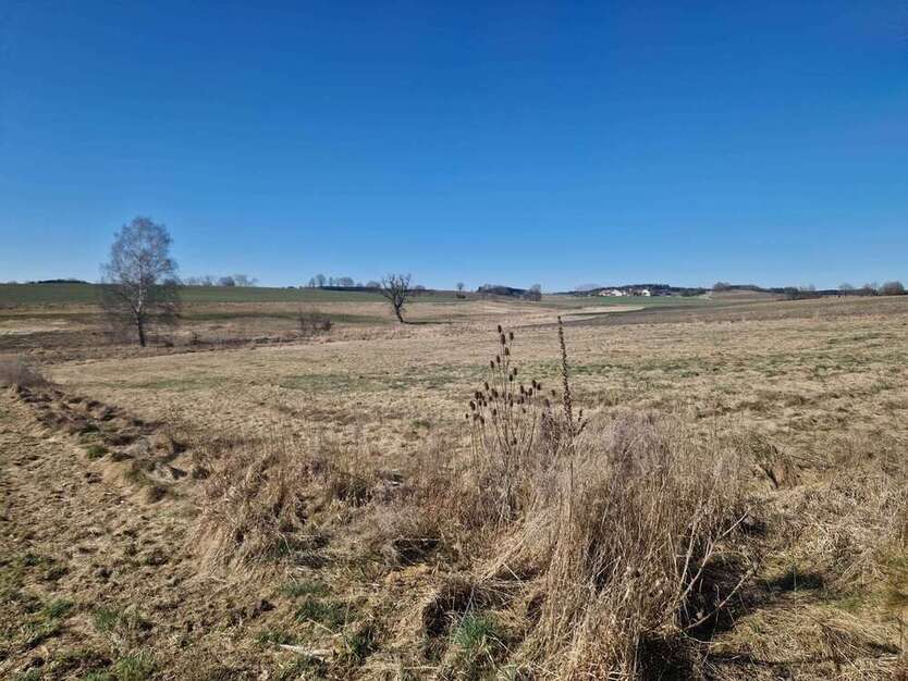 Grundstück zu verkaufen in Egenburg 396.950 € 467 m²