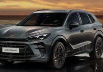 Gebrauchtwagen Cupra Terramar