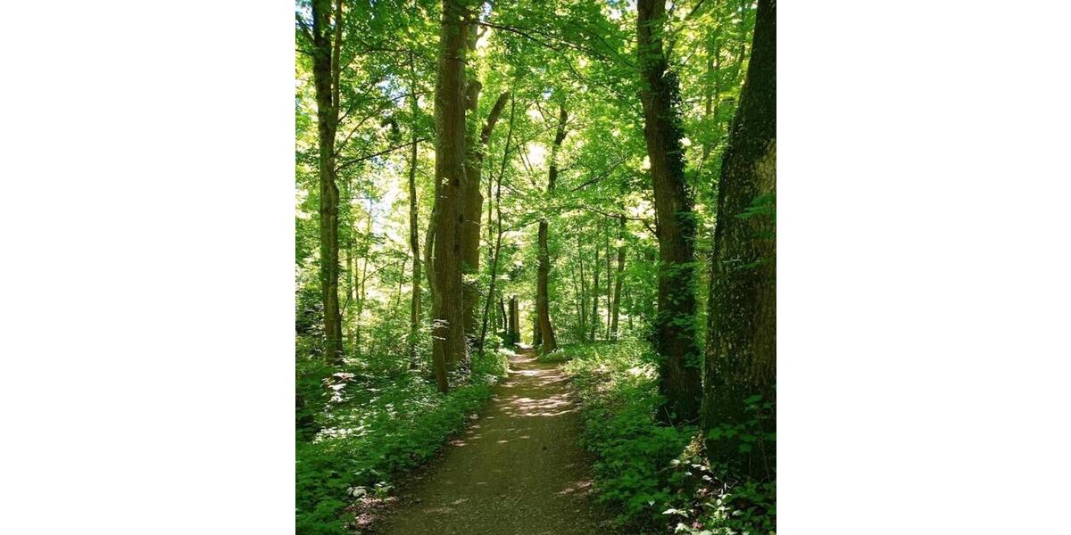 Doppelhaushälfte Schwabmünchen - 3 Zimmer, 90 m&sup2;, 418.000&euro; | Angebot:25626372