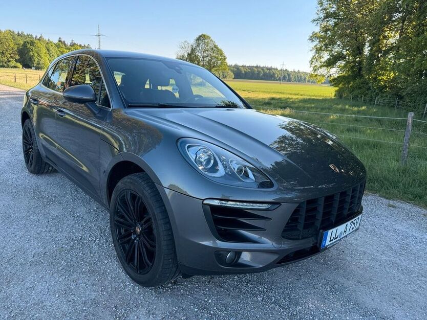 Macan