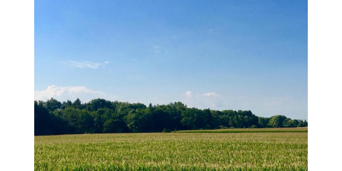 Doppelhaushälfte Augsburg Bergheim - 6 Zimmer, 170 m&sup2;, 1.050.000&euro; | Angebot:26120458