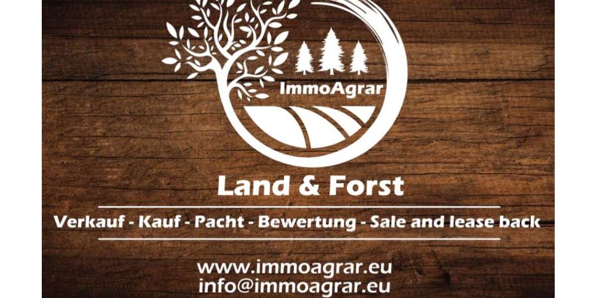 Grundstück Buttenwiesen Frauenstetten - 97.000&euro; | Angebot:26294827
