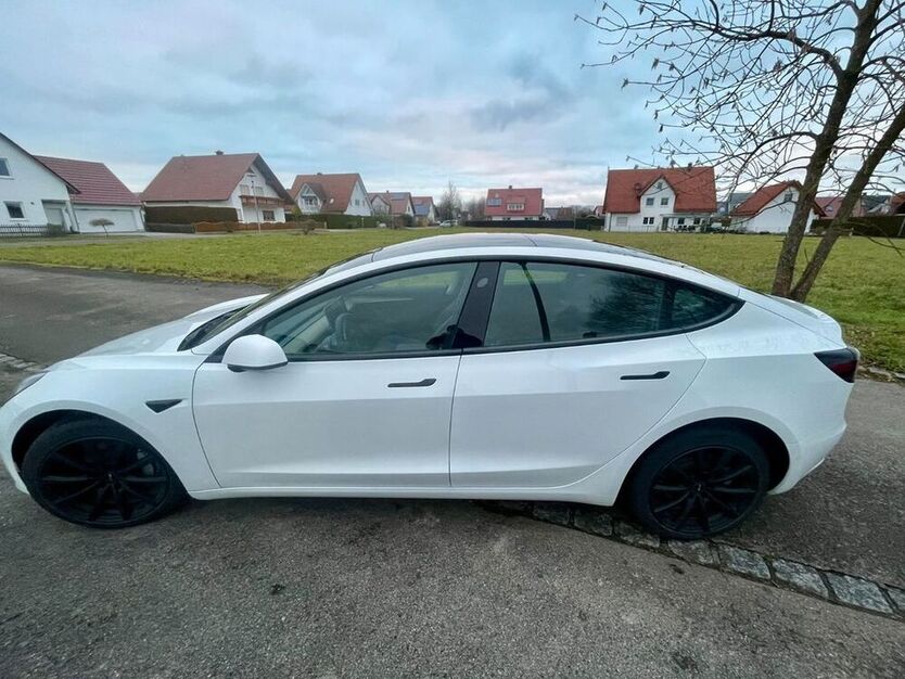 Model 3