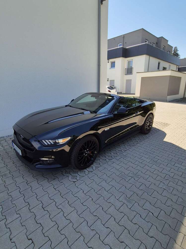 Mustang