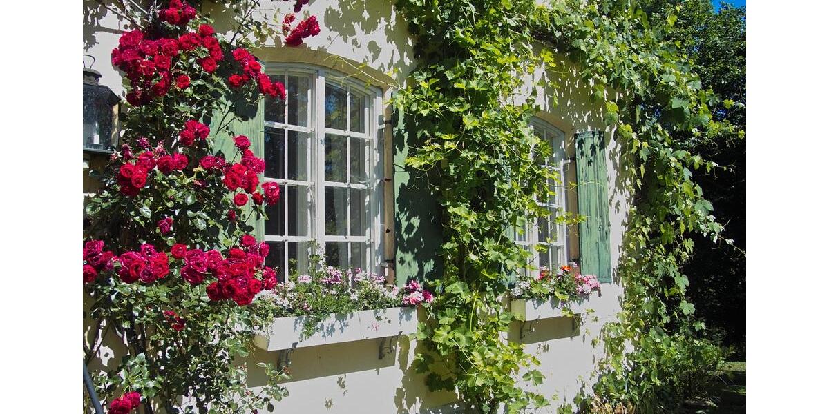 Einfamilienhaus Schiltberg - 7 Zimmer, 200 m&sup2;, 980.000&euro; | Angebot:26961275