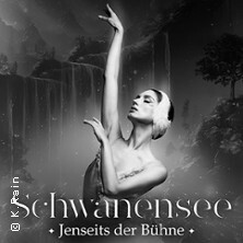 Schwanensee - Grand Classic Ballet - live Streichquartett Augsburg