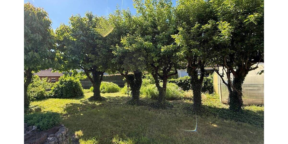 Einfamilienhaus Meitingen Ostendorf - 9 Zimmer, 114 m&sup2;, 469.000&euro; | Angebot:26796419