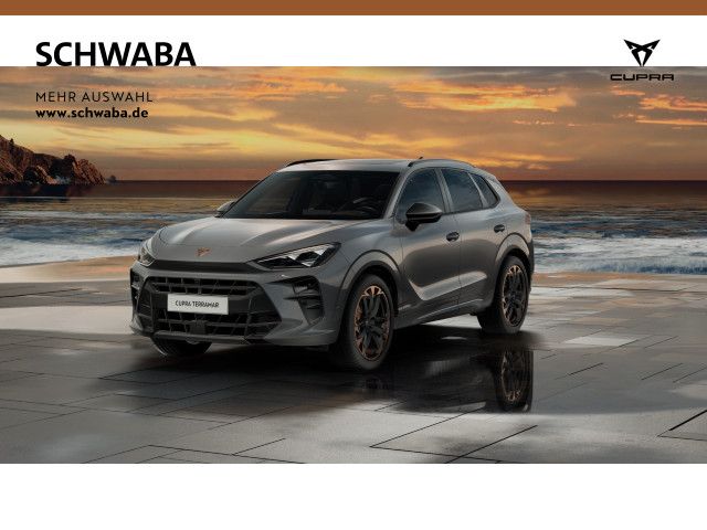 Cupra Terramar 5.304 km 43.910 &euro; Gersthofen 86368