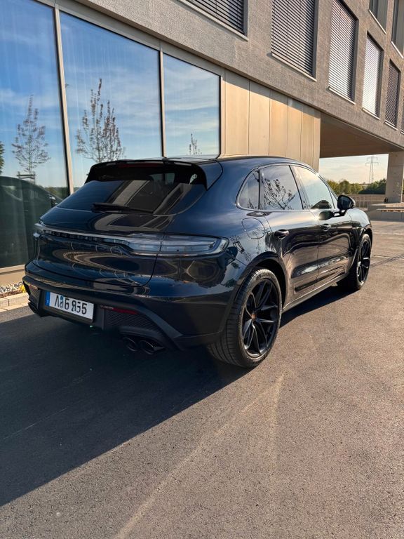 Macan