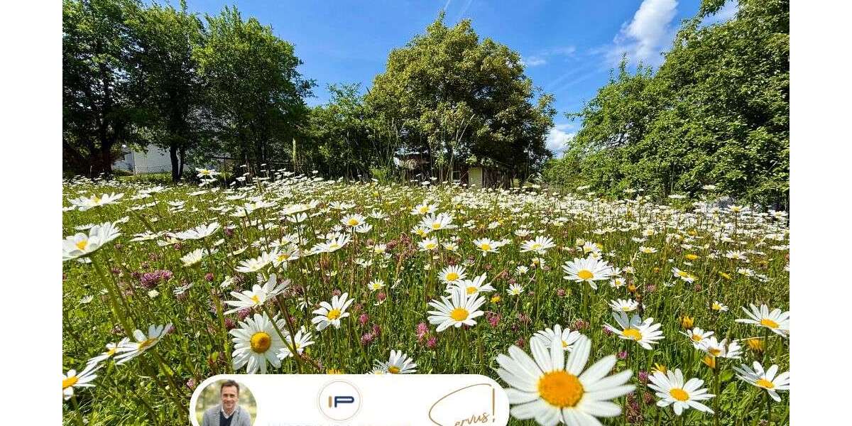 Grundstück Ried - 299.000&euro; | Angebot:26828504