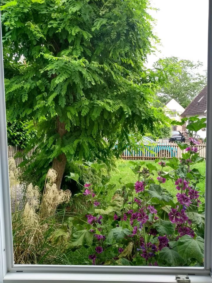 Charmantes EFH von Privat zentral in Pöttmes, Nähe Schrobenhausen