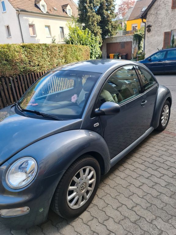 Beetle