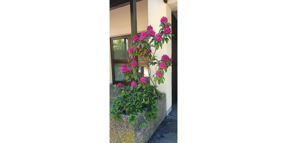 Maisonettenwohnung Augsburg Antonsviertel - 4 Zimmer, 82 m&sup2;, 500.000&euro; | Angebot:26771509