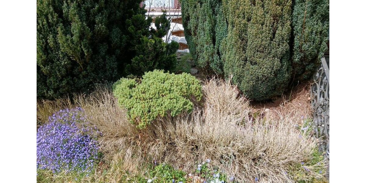 Doppelhaushälfte Aindling - 7 Zimmer, 153 m&sup2;, 1.500&euro; | Angebot:26048192