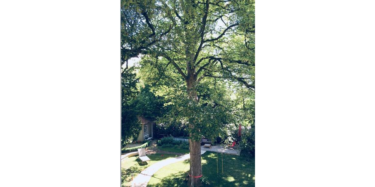 Villa Augsburg Bergheim - 8 Zimmer, 330 m&sup2;, 1.950.000&euro; | Angebot:25809587