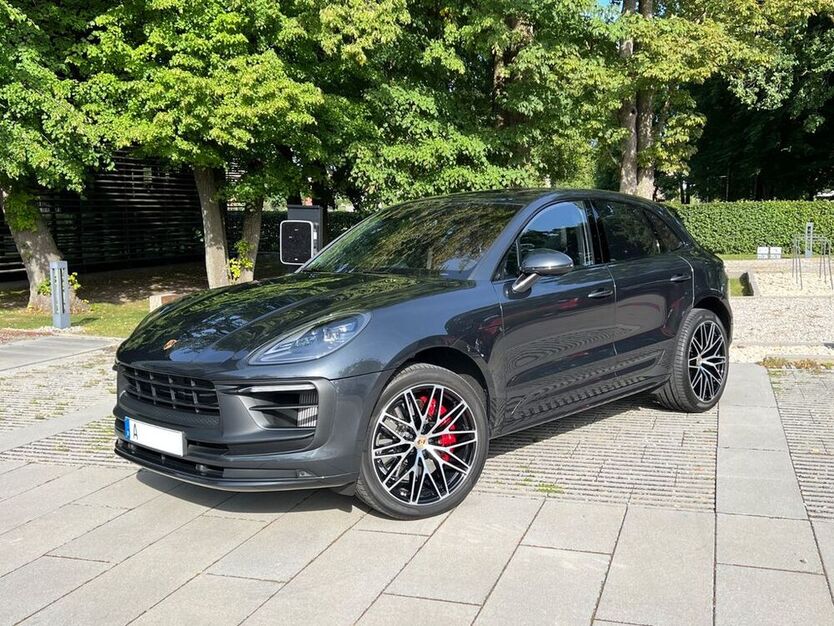 Macan