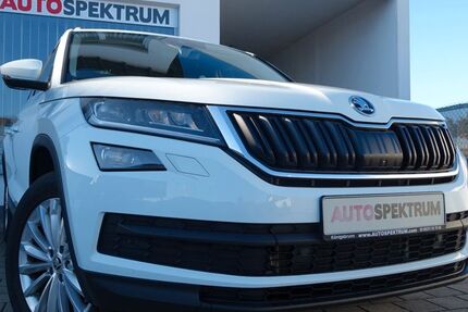 Skoda Kodiaq 137.000 km 23.800 € Königsbrunn 86343