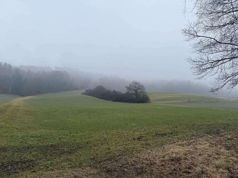 Grundstück in Zusmarshausen 220.000 € 26100 m²