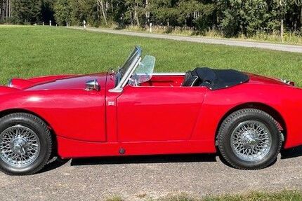 Austin Healey Andere 107.000 km 17.000 &euro; Welden 86465