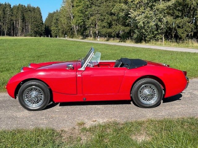 Austin Healey Andere 107.000 km 17.000 &euro; Welden 86465