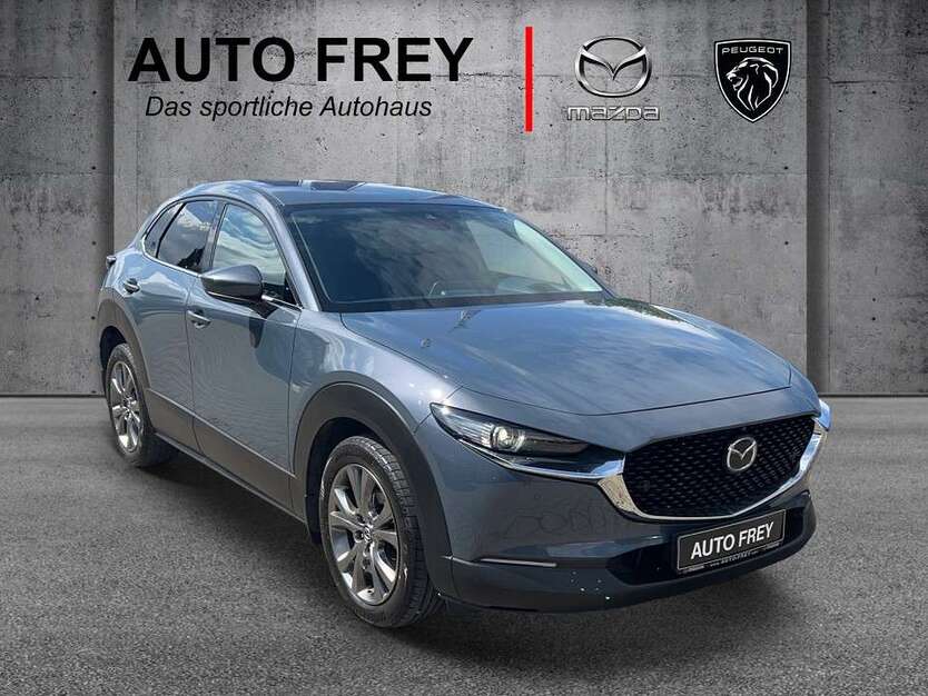 CX-30