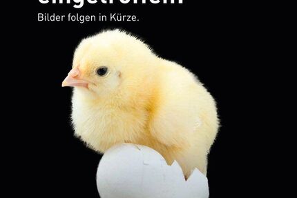 Smart ForTwo 30.411 km 9.940 &euro; Königsbrunn 86343