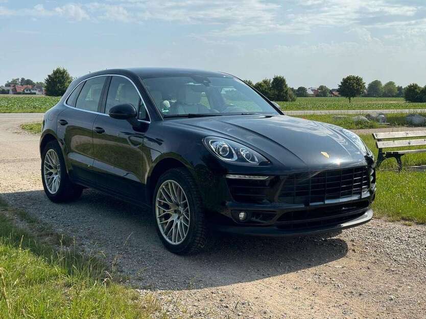 Macan