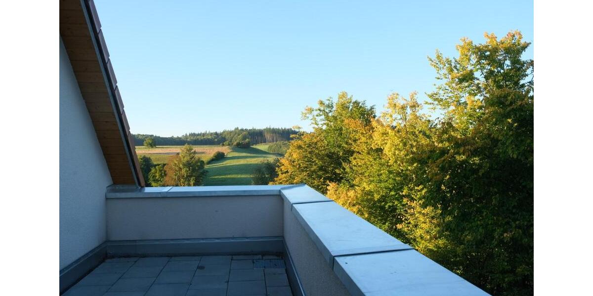 2,5-Zimmer-Galeriewohnung mit Dachterrasse B-24 zimmer