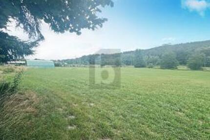 FRISCHE UND NATÜRLICHKEIT zimmer