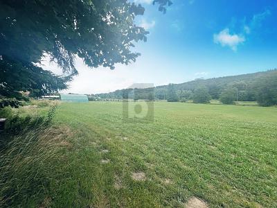 FRISCHE UND NATÜRLICHKEIT zimmer