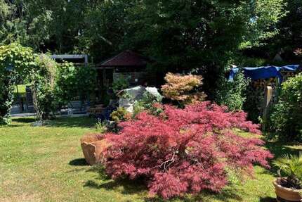 Grundstück Dinkelscherben - 225.000&euro; | Angebot:23381635